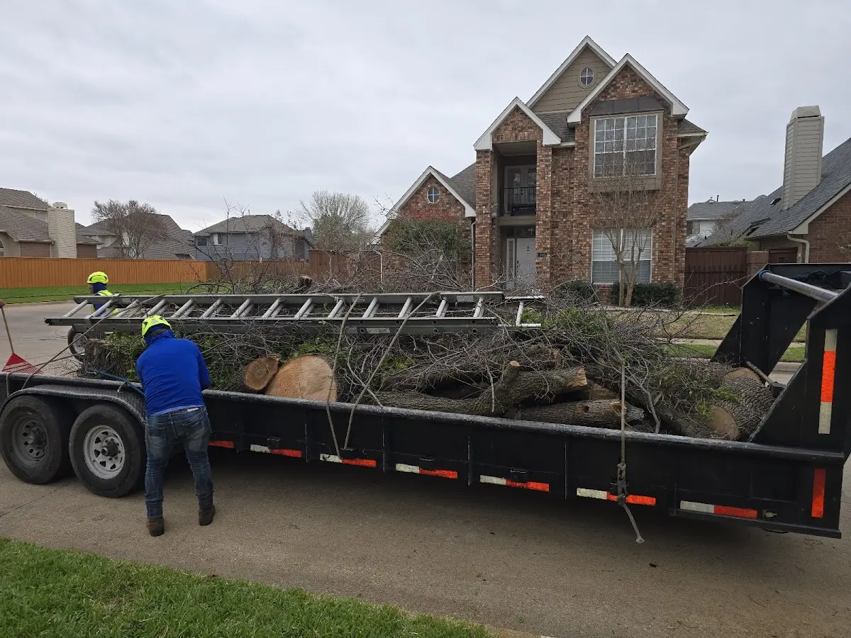 Expert Lot Clearing with proper safety equipment in Cascade